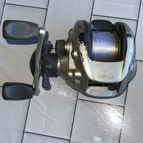 Amazon.com : Daiwa Genpau Ishidai Light 20H, 2018 Model