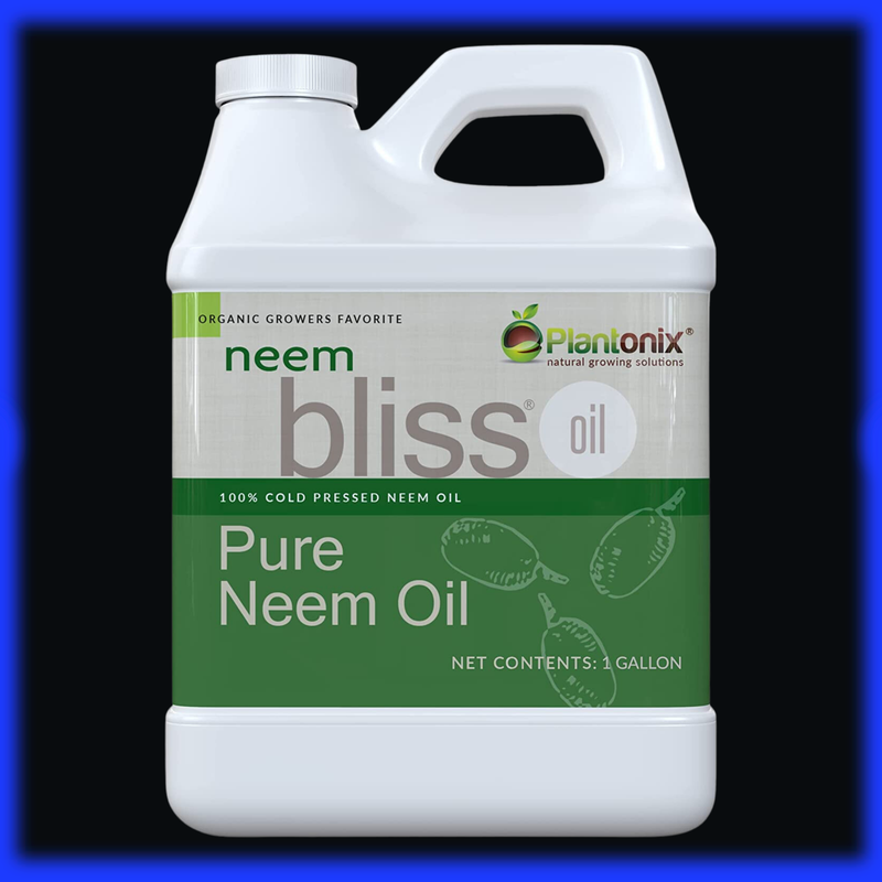 Cold Pressed Concentrate Pure Natural Nim Oils Spray Plant