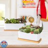 ARVINKEY White Ceramic Succulent Planters, Indoor and Outdoor Succulent Planters, Set of 2 Small Cactus Containers, Bonsai Pots, Flower Pots with Drainage Hole and Bamboo Bowl (No Plant)