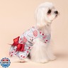 Fitwarm Christmas Candy Canes Dog Dress, Cute Dog Christmas Outfit, Doggy Clothes for Small Dogs Girl, Pet Apparel, Silver, Red, White, Large