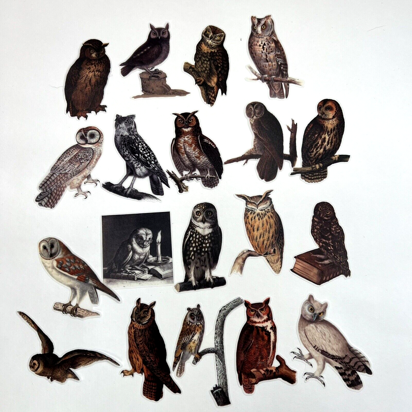Owl Washi Paper Stickers Vintage Style Scrapbook Junk Journals Collage
