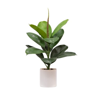 Mainstays 20''H Artificial Indoor Fiddle Leaf Fig Plant in Plastic Vanilla Plante