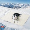 Soulbond Cooling Mat for Extra Large Dogs - 60