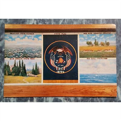 Vintage c1960s Postcard: Utah State Flower Tree Bird Flag & Industry Multi-view