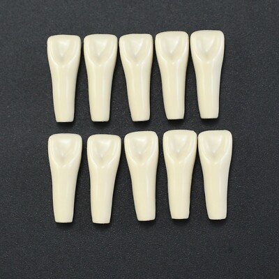 Columbia 860 10pcs/lot Individual Dental Typodont Teeth Replacement 