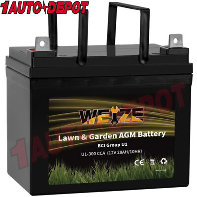 Lawn & Garden SLA AGM Battery 12V 300CCA BCI Group U1 Starting for Lawn Mower