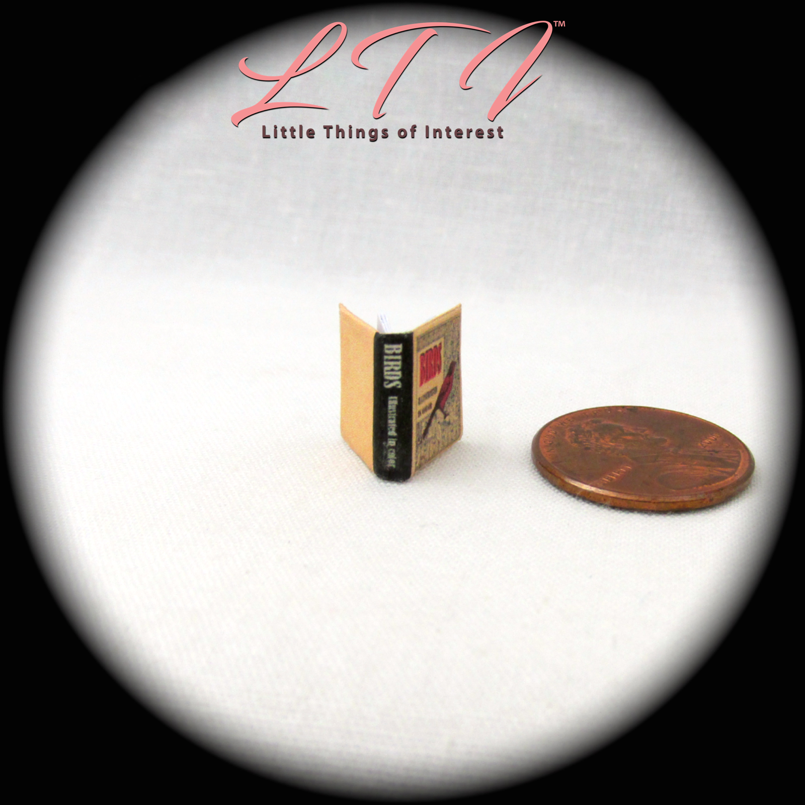 1:24 Scale BIRDS ILLUSTRATED Miniature Book Dollhouse Color Illustrated 1/2"