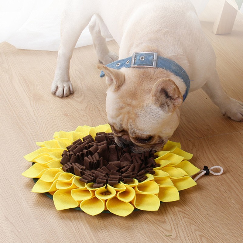 Schnüffelteppich Hund Schnupftabak Matte Welpentraining Schnüffeln