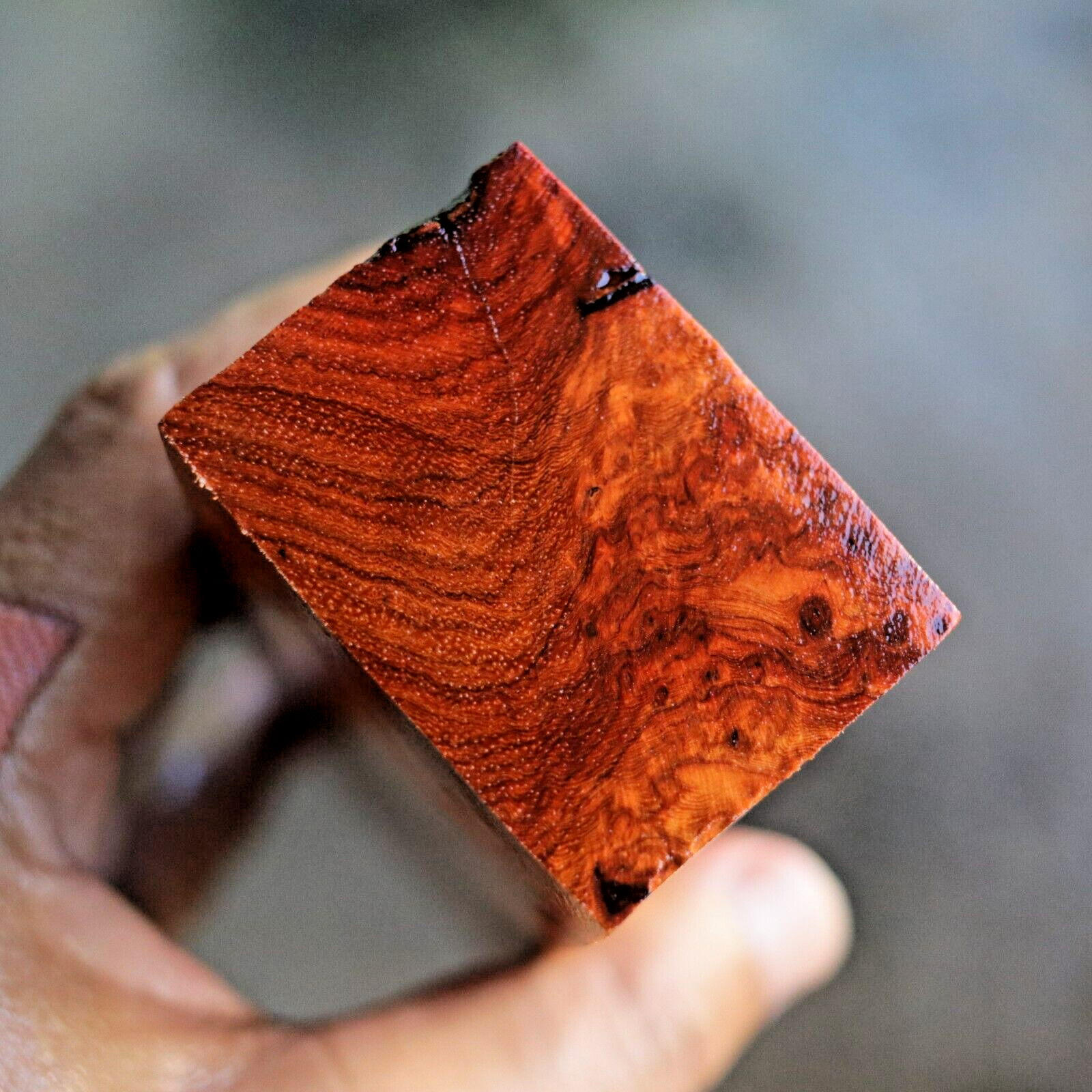 Amboyna Burl, Knife Handle Blank Turning, Exotic Wood 1 7/8"x 5"x 1 3/8" #392 Amboyna Burl, Knife Handle Blank Turning, Exotic Wood 1 7/8"x 5"x 1 3/8" #392