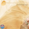 P Pothuiny Sheer Organza Fabric by The Yard, 3 Yards x 60 Inch Wide Bridal Champagne Organza Tulle Fabric Roll Shiny Gauze Fashion Dress Sewing Craft for Wedding Party Decorations Backdrop