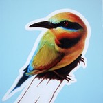 fraserart