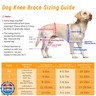 Xuvira Dog Knee Brace for Acl Injury Recovery, Adjustable, Provides Stable Support for Ligament Strain and Joint Pain, Fits Front or Rear Leg, Ideal for Rehab and Everyday Use, Durable, Comfortable, M