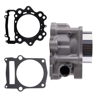 Cylinder Assembly for Yamaha Raptor 700 700R YFM700R YFM700 1S3-11310-01-00