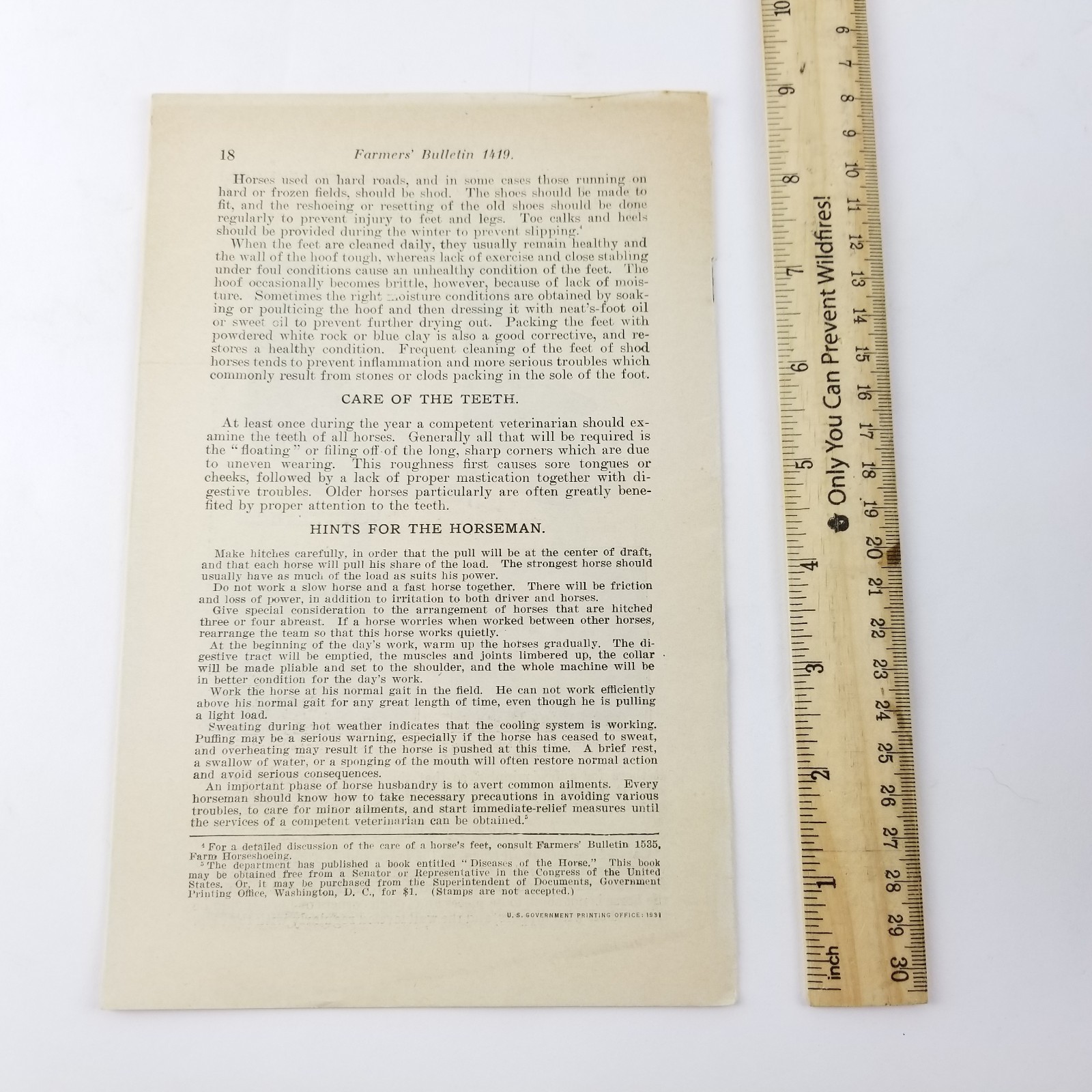 US Department of Agriculture Farmers Bulletin 1419 Care Managmnt Of Farm Horses