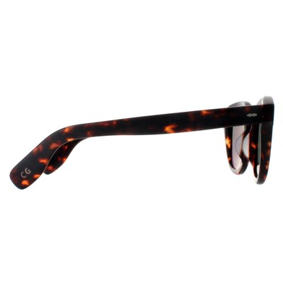 Pre-owned Oliver Peoples Sunglasses Cary Grant Ov5413su 1454o8 Sable Tortoise G15 Goldtone In Green