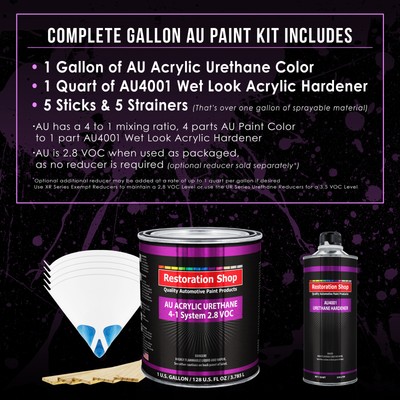 Restoration Shop Shoreline Beige Acrylic Urethane Gallon Kit Auto Paint