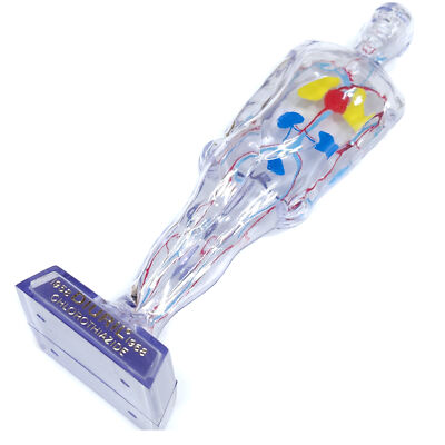 1968 Diuril Drug Rep Advertising Clear Human Body Figure Blood Pressure Medicine