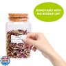 500 Removable Freezer Pantry Canning Labels Set Water Oil Resistant with Perforation Line for Food Containers Jars Kitchen Restaurant Storage Organization (Detailed Area Version, 2” X 1”) …