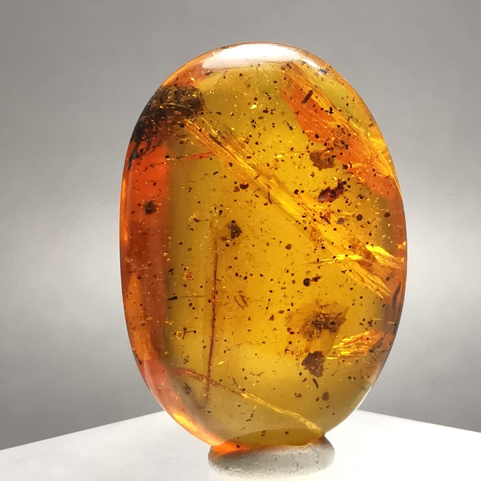 8.76ct Burmese Amber w. Plant & Insect / Myanmar / Rough