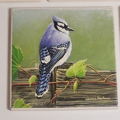 BlueJay Drink Coasters Porcelain cork backing 6  Of Set James Houtman Blue Bird 