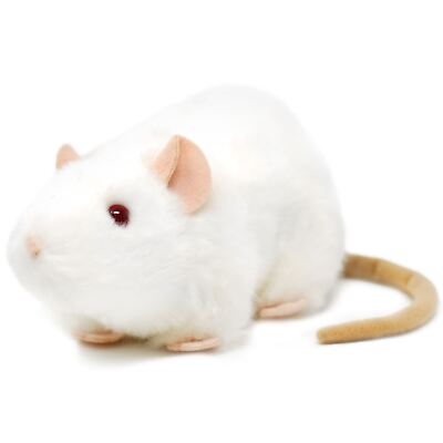 Wylie the White Rat | 7 Inch Stuffed Animal Plush Mouse | By