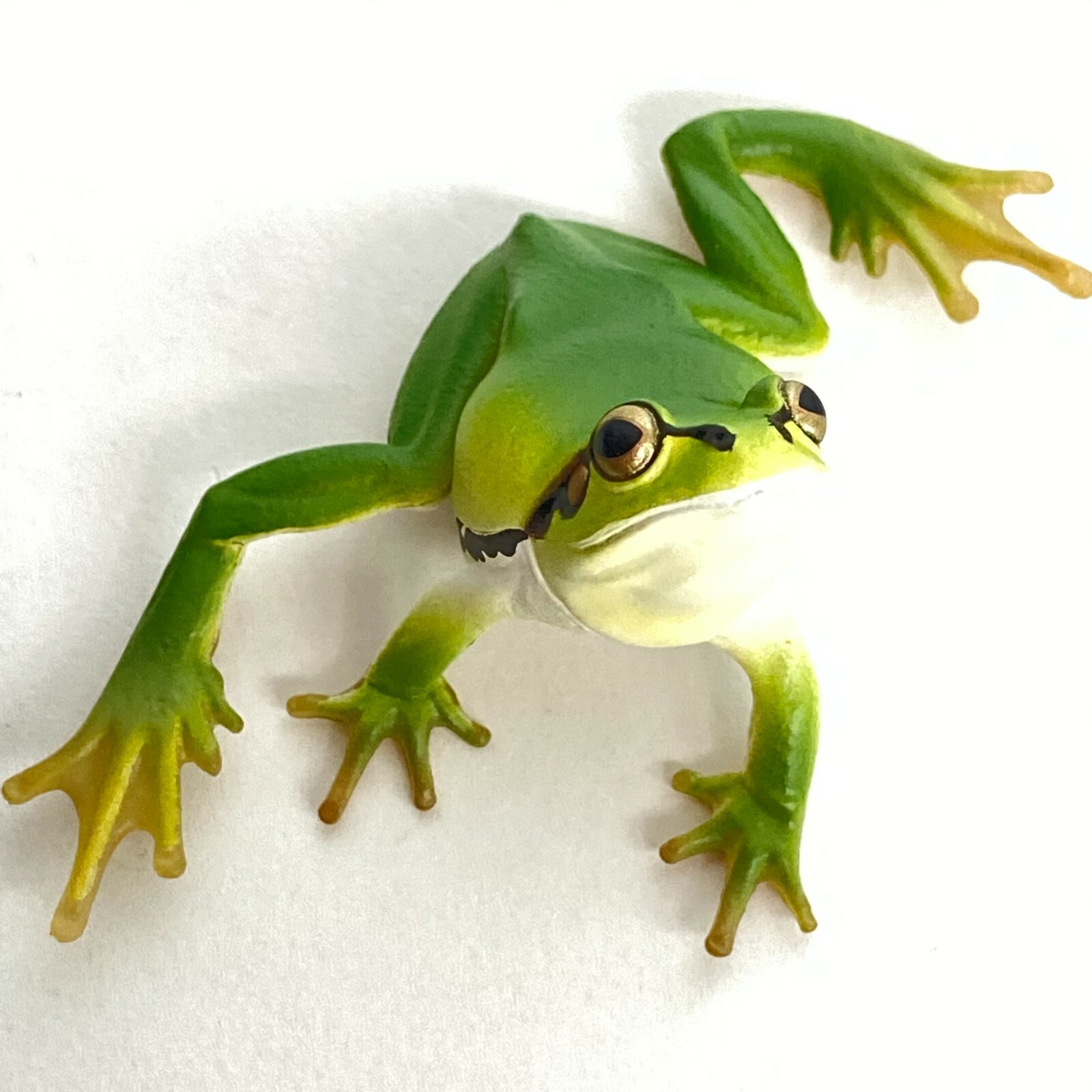 $_57.JPG?set_id=8800005007