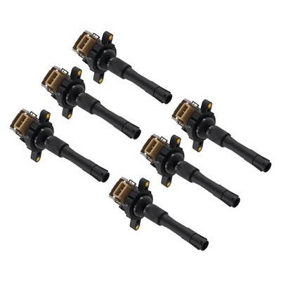 6x Zündspule for BMW 3er E36 320i 323i 328i M3 E46 320i 323i 325i 328i 330i
