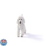 Schleich Farm World, Realisitc Dog Toys for Boys and Girls Ages 3 and Above, Poodle Toy Figurine