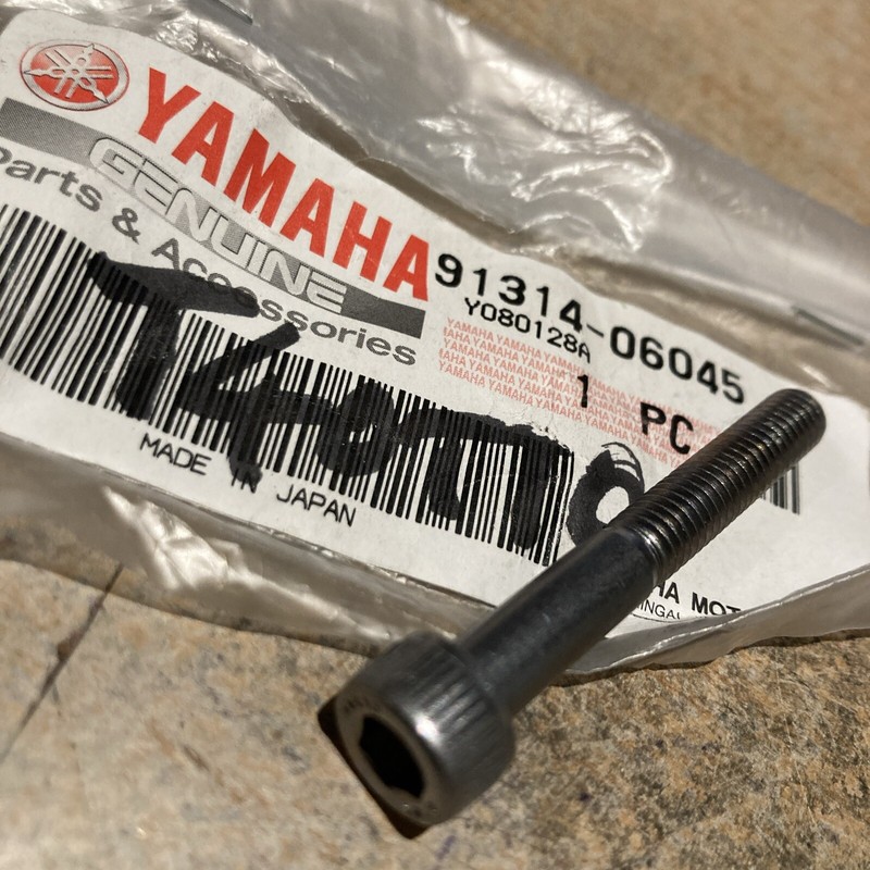 Yamaha 91314-06045 Vis Carter Moteur Bt1100 Tdm900 Fzs1000 Xvs1100 Yzf-600r Etc