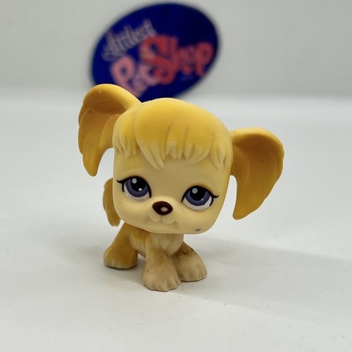 リトル ペットショップ プードル？ リトル ペットショップ プードル？