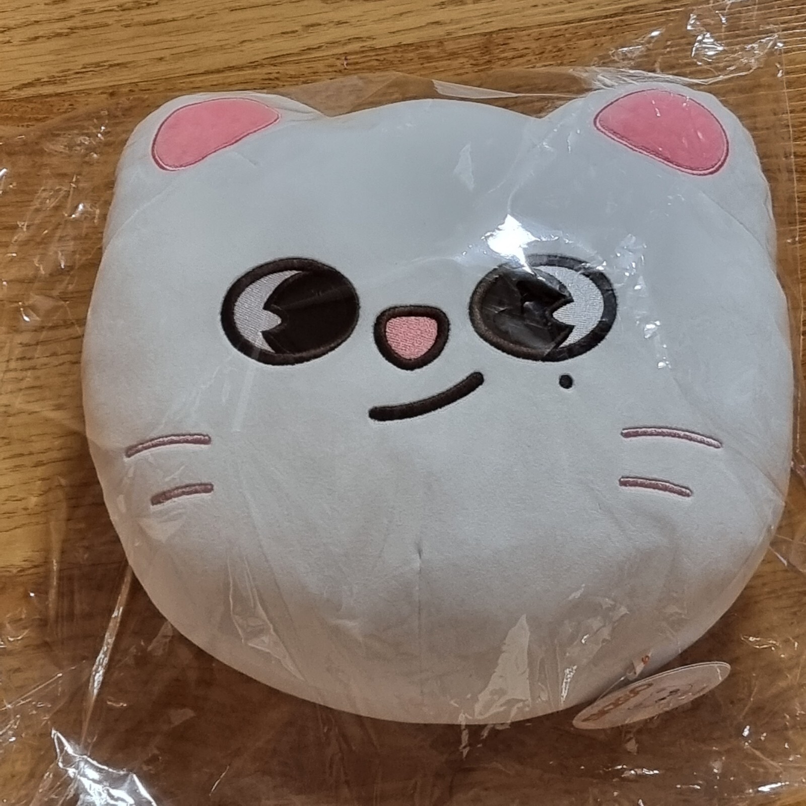 STRAY KIDS x SKZOO Plush JYP POP-UP STORE Original CUSHION - JINIRET