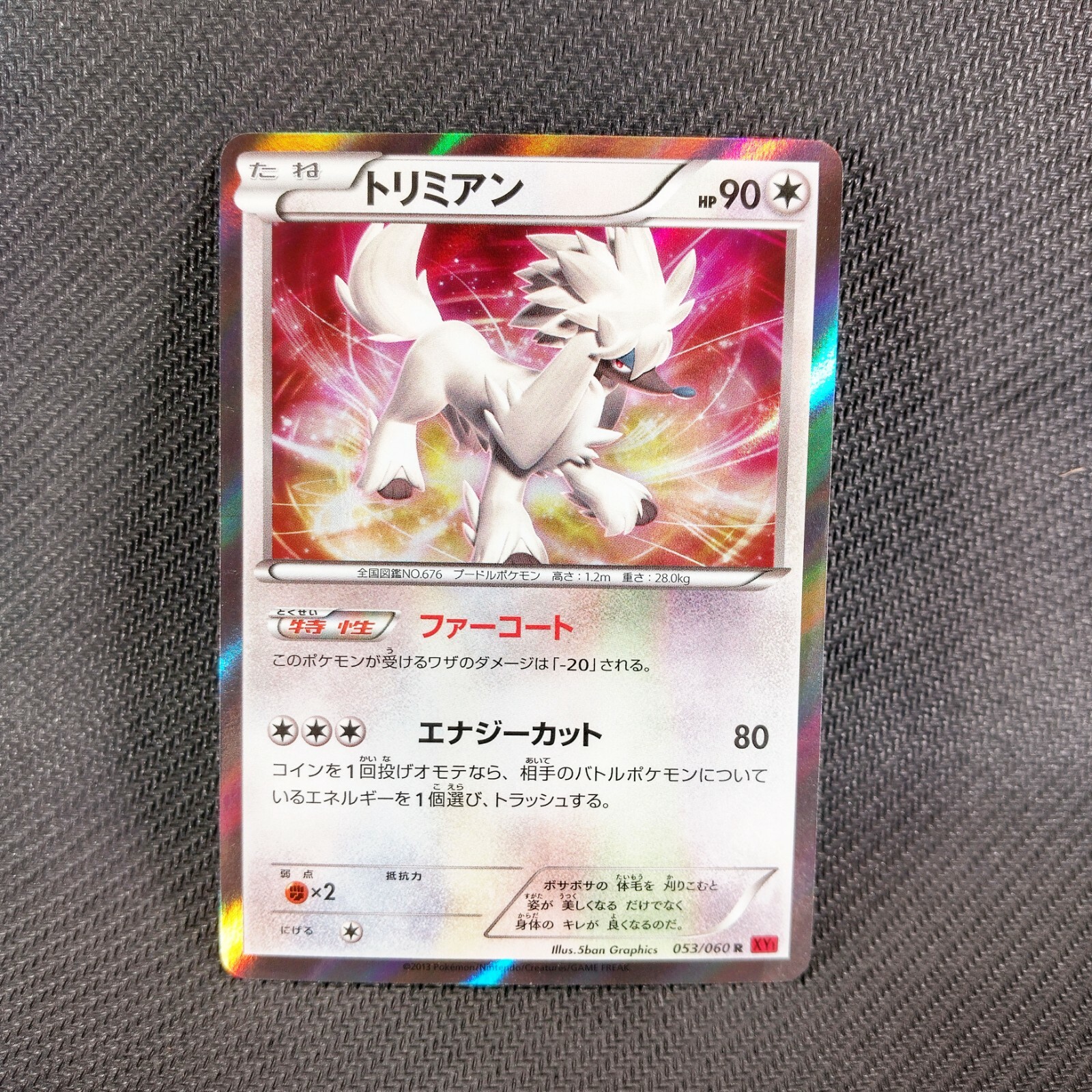 Amazon.com: Pokemon - Furfrou (114/146) - XY - Holo : Toys