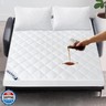 Waterproof Sofa Bed Mattress Protector Pad, Absorbent Queen Sleeper Sofa Mattress Topper Cover Quilted, Fitted Mattress Protector, 60
