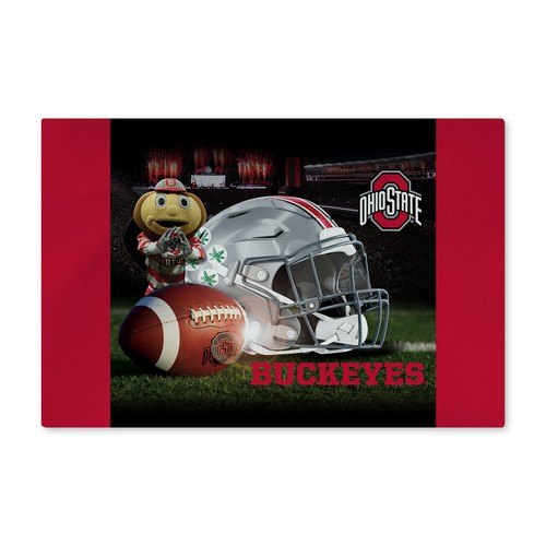 Моющийся коврик для пола Northwest NCAA штата Огайо Buckeyes Gameday, 20 x 32