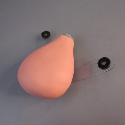 Nasco Simulaids Replacement Pregnant Uterus 160-1904 NEW Medical Training Device
