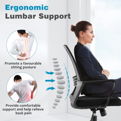 Ergonomic Home Office Chair – Rolling Desk Chair with Lumbar Support and Armr...