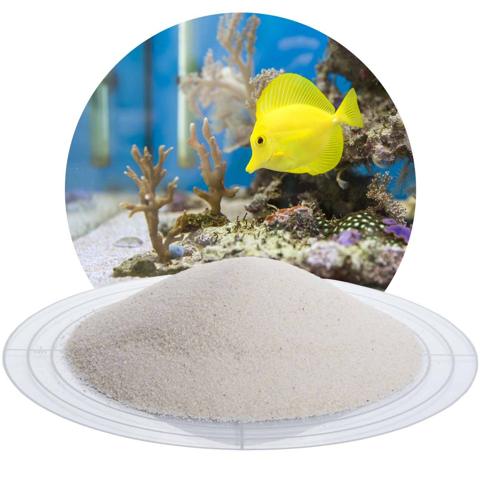 (0,66€/kg) 25 kg weißer Aquariumsand  Aquariensand Aquariumkies Bodengrund 