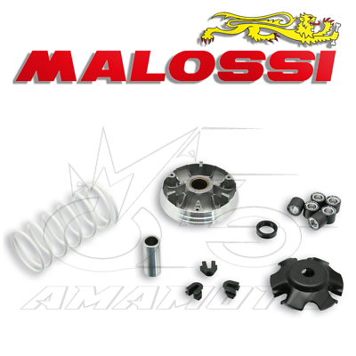 Variatore Malossi 2000 Per Aprilia Scarabeo 50 4T - Ricambio Performance, D.16 - Foto 13