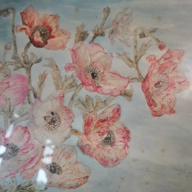 Aquarelle Dessin Fleurs Du Xix. SignÃ© Francisque Raberain (1888-?) 24x32cm