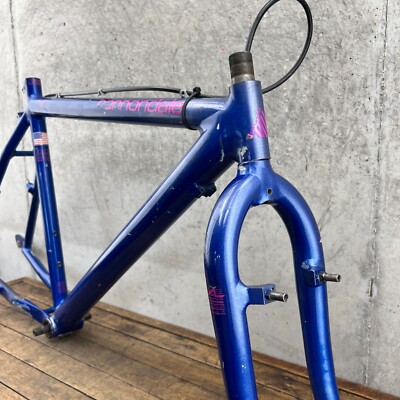 ビンテージ美品フレーム Canondale キャノンデール ロードバイク