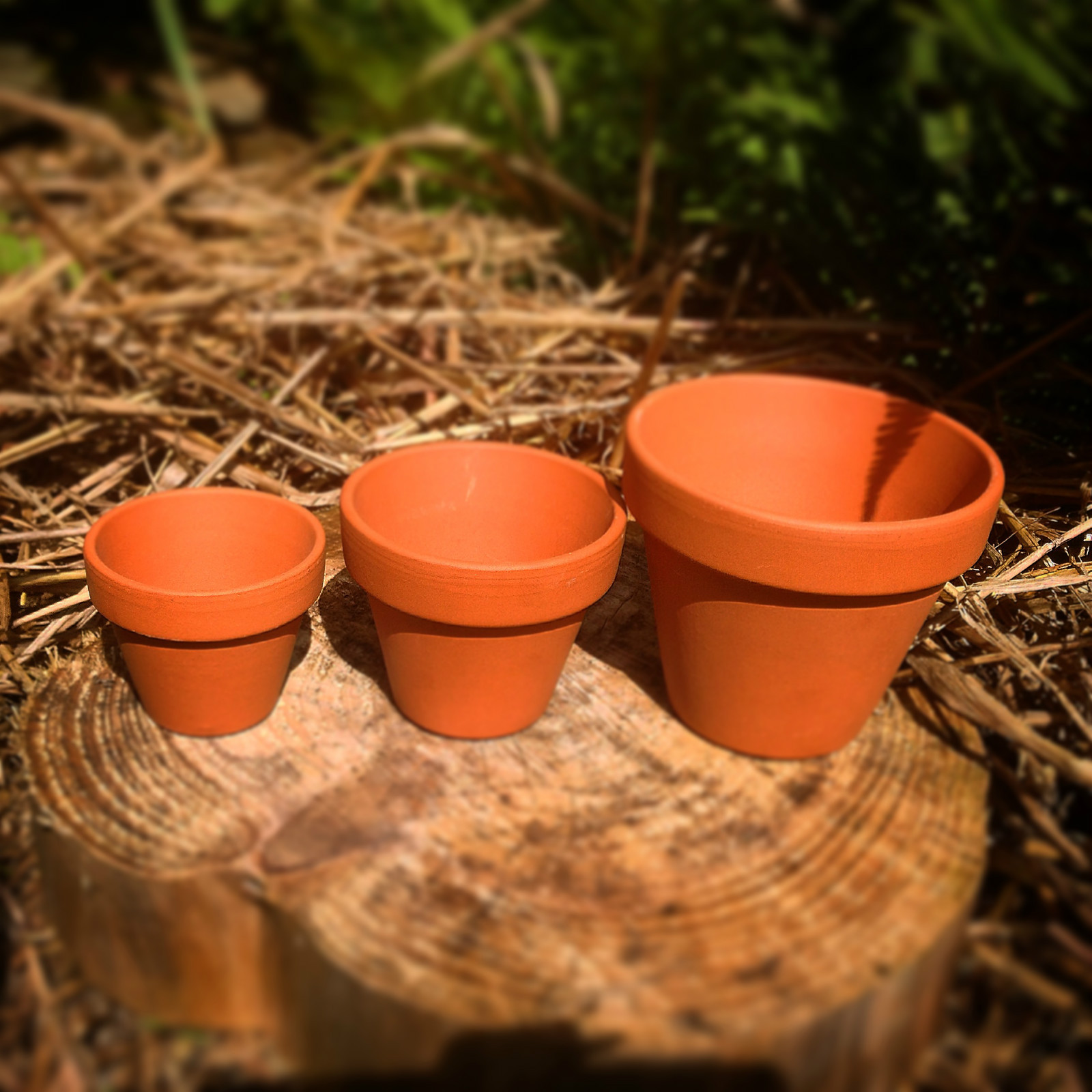 Terracotta Plant Pots, 5 different sizes, Bulk, Wholesale (Pots in CM) eBay