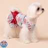 Fitwarm Christmas Candy Canes Dog Dress, Cute Dog Christmas Outfit, Doggy Clothes for Small Dogs Girl, Pet Apparel, Silver, Red, White, Large