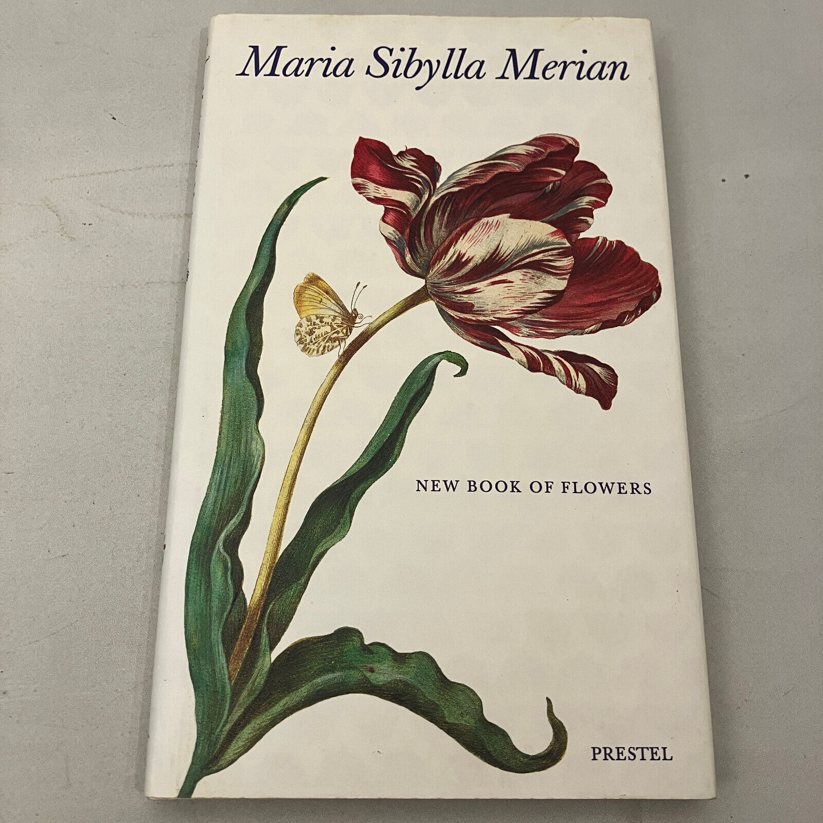 Maria Sibylla Merian New Book of Flowers from Prestel 1999
