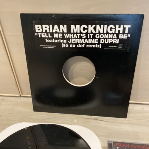 ::Brian McKnight CD VINYL LOT - Tell Me What's It Gonna Be Gemini Evolution Of Man