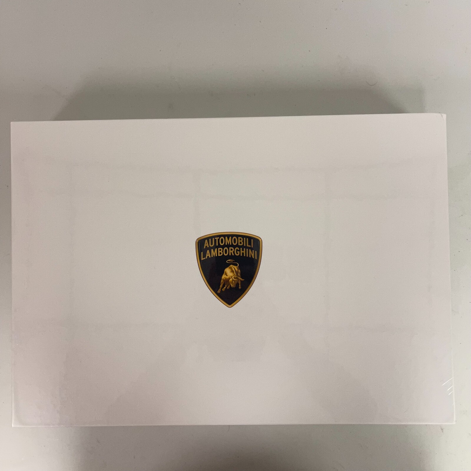 ランボルギーニ　メンテナンス　ウェルカムキット 2025年最新】Lamborghini 洗車の人気アイテム - メルカリ