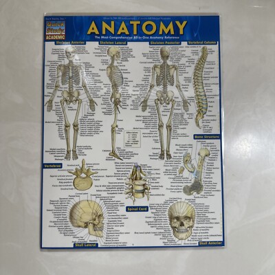 NEW QuickStudy | Anatomy Laminated Tri-Fold Study Guide