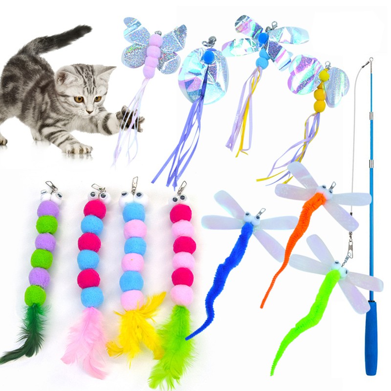 Butterflies Caterpillar Dragonfly Set Kitten Cat Fishing Pol