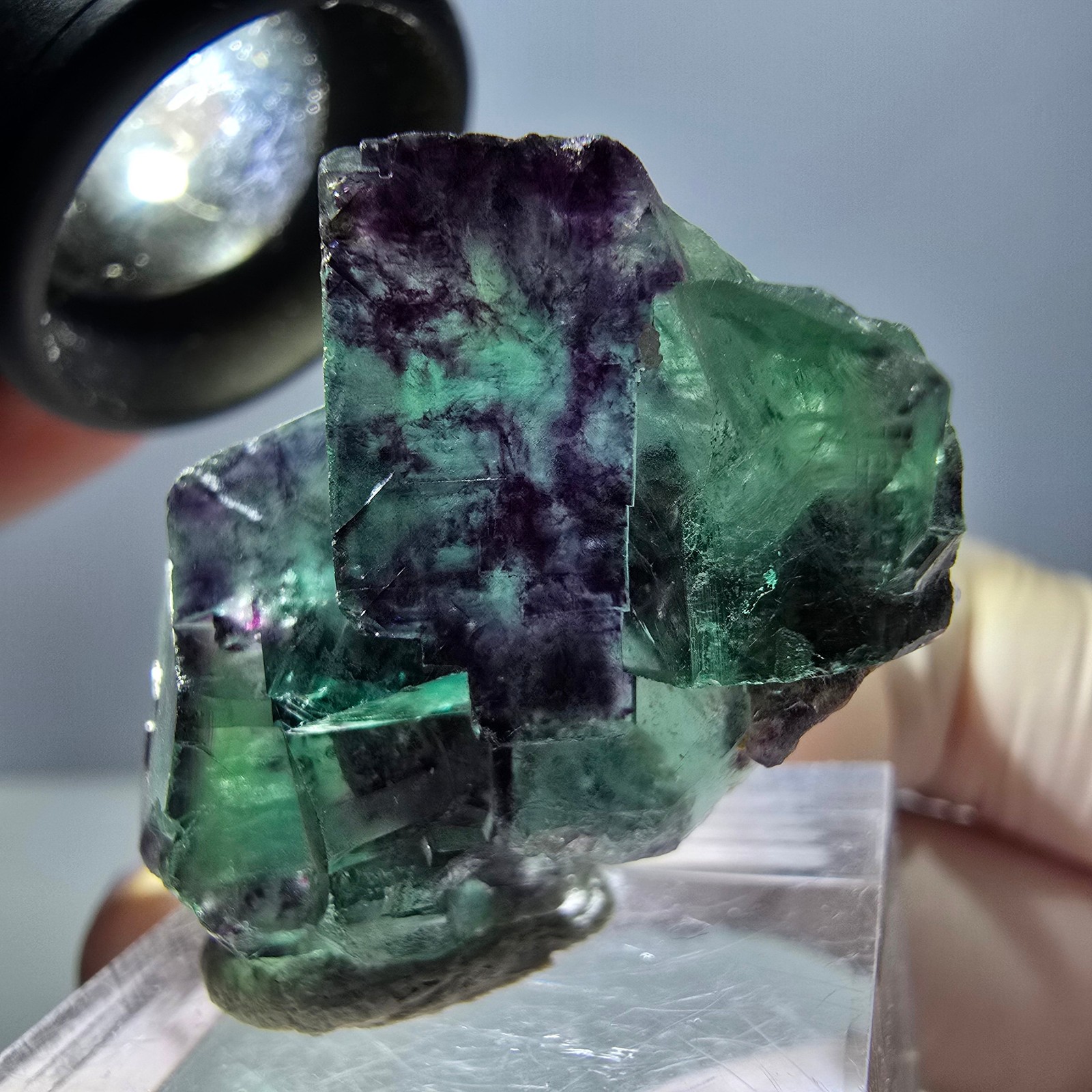 Spécimen de cube de fluorite fantôme, parqueté vert violet Okorusu, Namibie 34 x