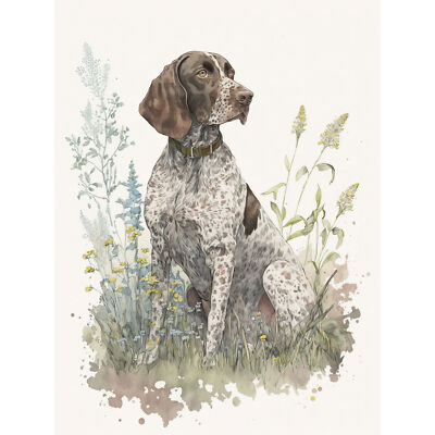 German Pointer Dog in Field Watercolour Wall Art Canvas Picture Print 18X24