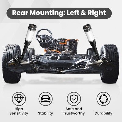 Rear Air Suspension Strut Shock For Mercedes S Class W220 S430 S500 2203205013